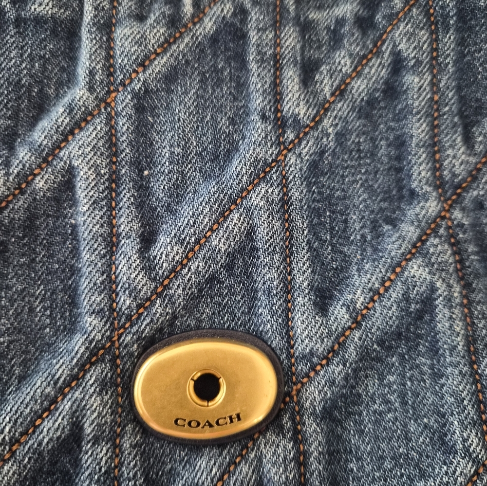 Denim Squared Tabby - Picture 5 of 10